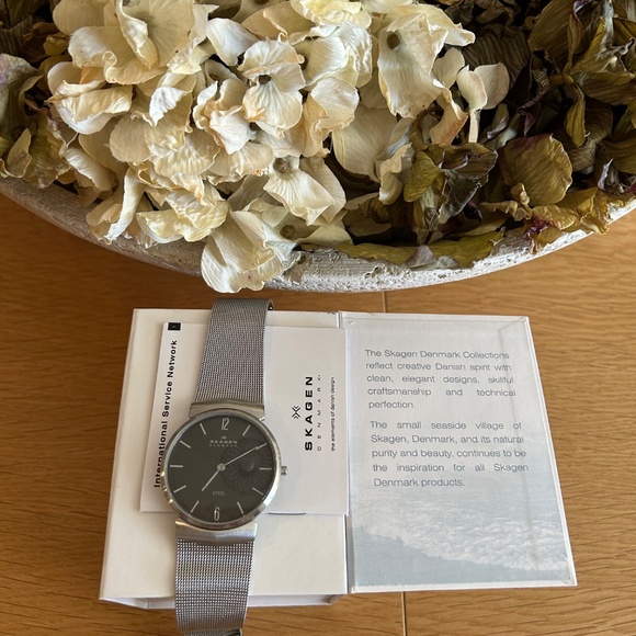 🌀SKAGEN Denmark🌀 Like Brand New🌀 Women's (or Men's) SS Watch w/SS MESH Band🌀 - Picture 1 of 6
